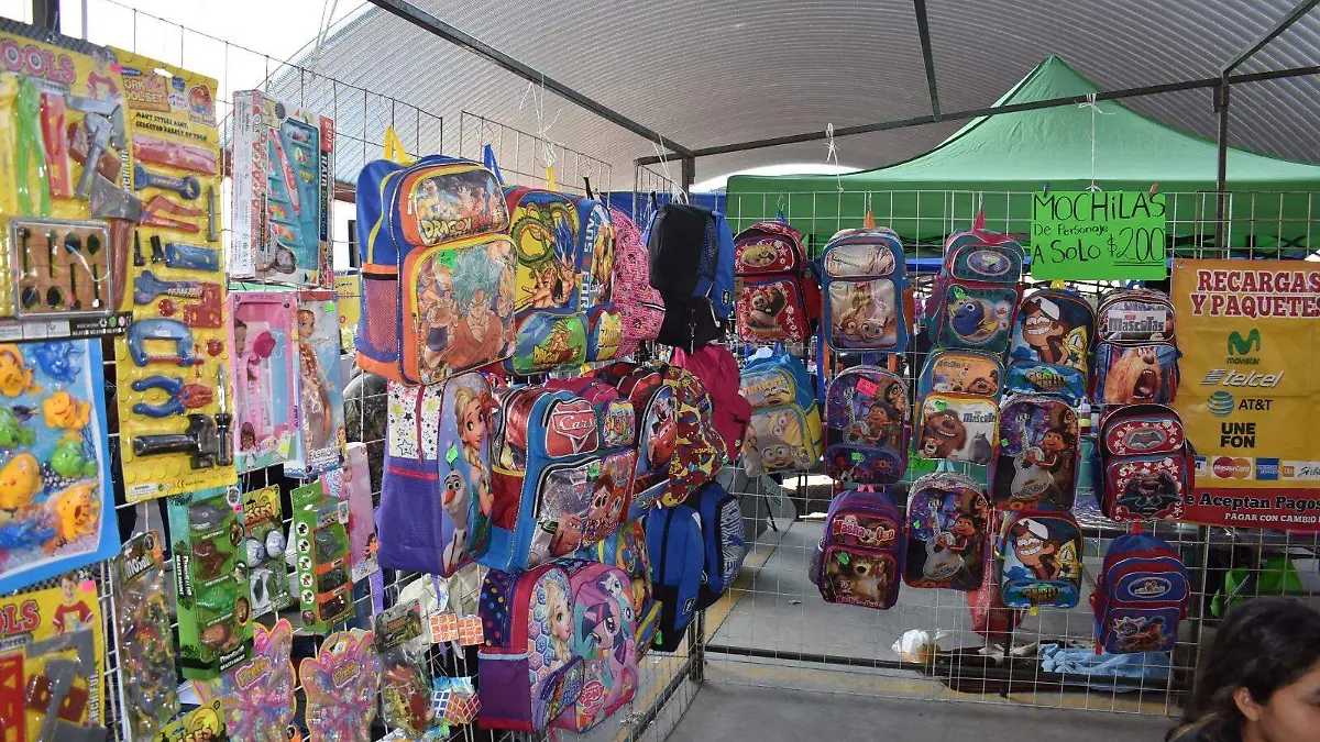 Tianguis de la PRI 1